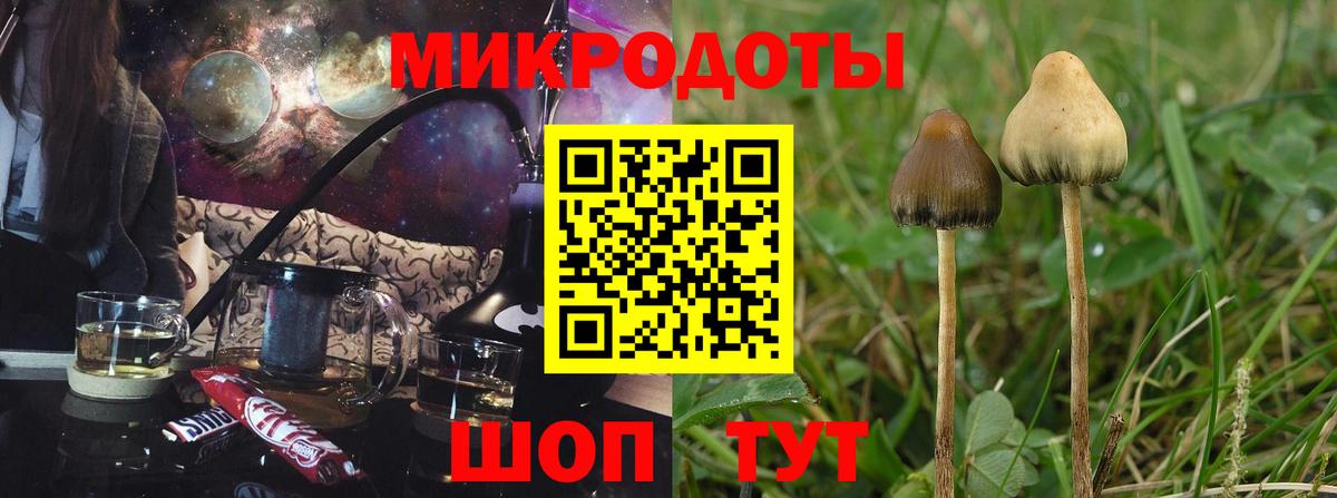 Псилоцибиновые грибы мицелий Борисоглебск