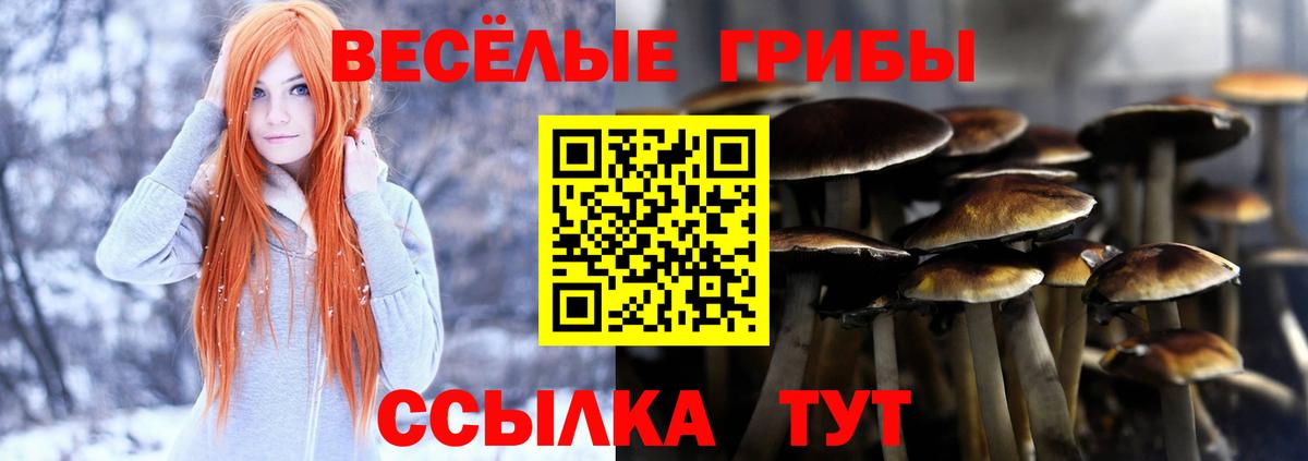 Галлюциногенные грибы MAGIC MUSHROOMS  Псилоцибиновые грибы прущие грибы  Вход с VPN  Борисоглебск 